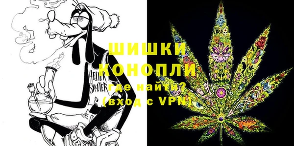 гидра Арсеньев