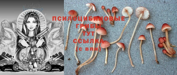 кокаин перу Аркадак