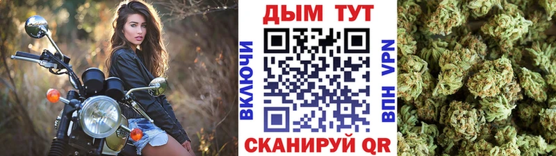 Бошки Шишки THC 21%  хочу   Почеп 